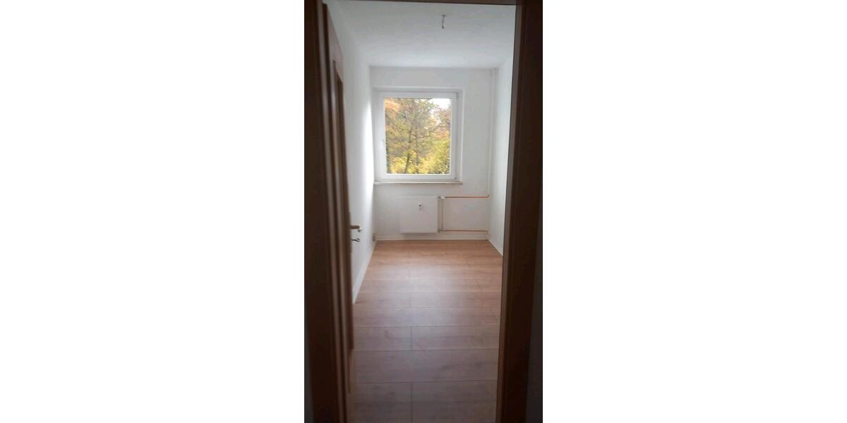 Etagenwohnung Plauen - 3 Zimmer, 58 m&sup2;, 300&euro; | Angebot:25965275