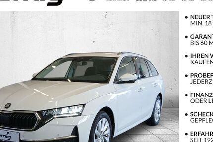 Skoda Octavia 41.920 km 27.490 &euro; Hof 95030