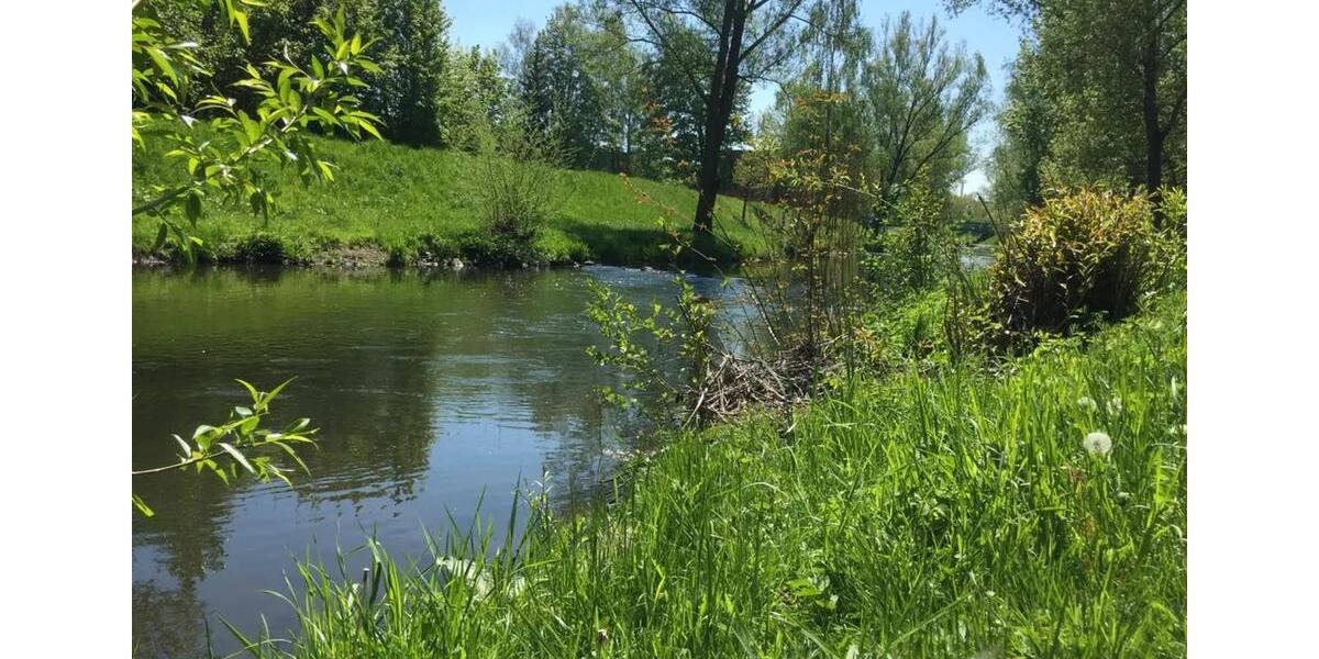 Etagenwohnung Hof Altstadt - 1 Zimmer, 15 m&sup2;, 400&euro; | Angebot:25207666