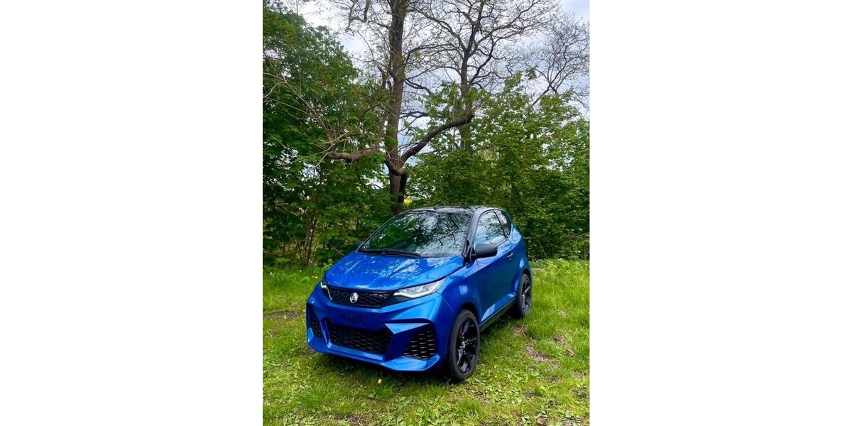 Aixam City 36.000 km 13.400 &euro; Greiz 07973