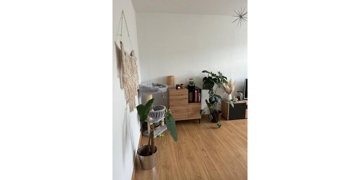 Etagenwohnung Markneukirchen - 2 Zimmer, 64 m&sup2;, 640&euro; | Angebot:24946763