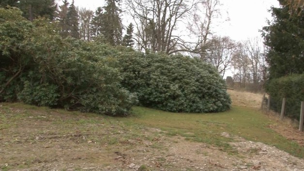Villa aus der Jugendstilzeit im Vogtland - Gewerbeobjekt Lengenfeld | Angebot:19801462