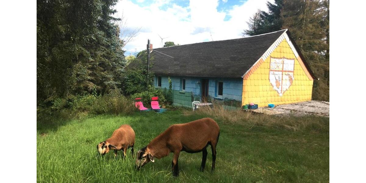 Mehrfamilienhaus, Wohnhaus Gefell - 12 Zimmer, 300 m&sup2;, 370.000&euro; | Angebot:25803486