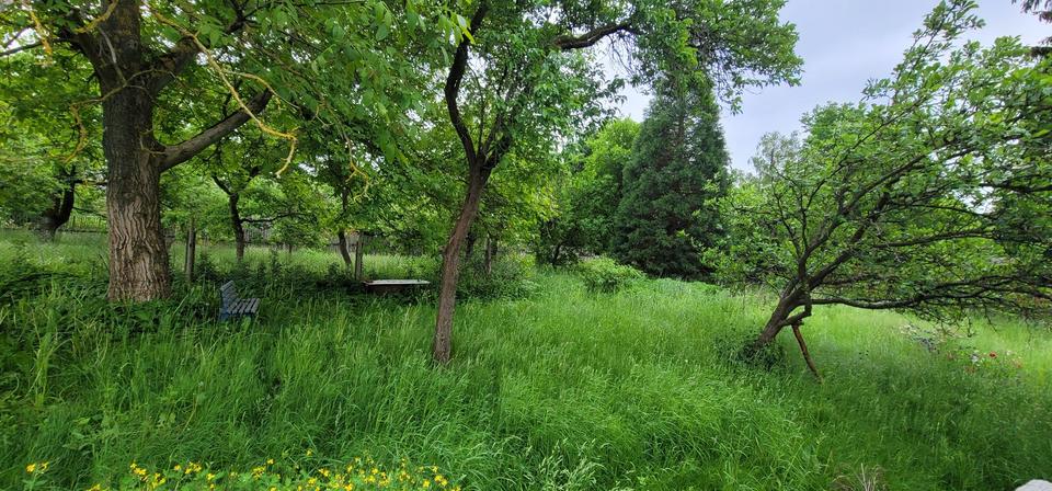 Einfamilienhaus Auma-Weidatal Weidatal - 9 Zimmer, 160 m&sup2;, 20.000&euro; | Angebot:25707834