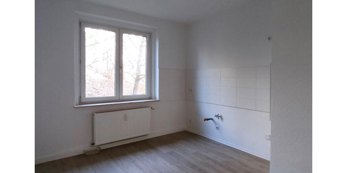 Etagenwohnung Plauen - 2 Zimmer, 61 m&sup2;, 370&euro; | Angebot:24644025