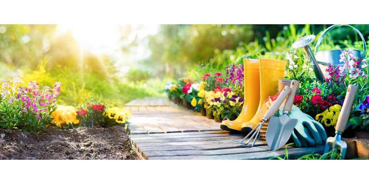 Bungalow Klingenthal - 2 Zimmer, 69 m&sup2;, 197.739&euro; | Angebot:26028141