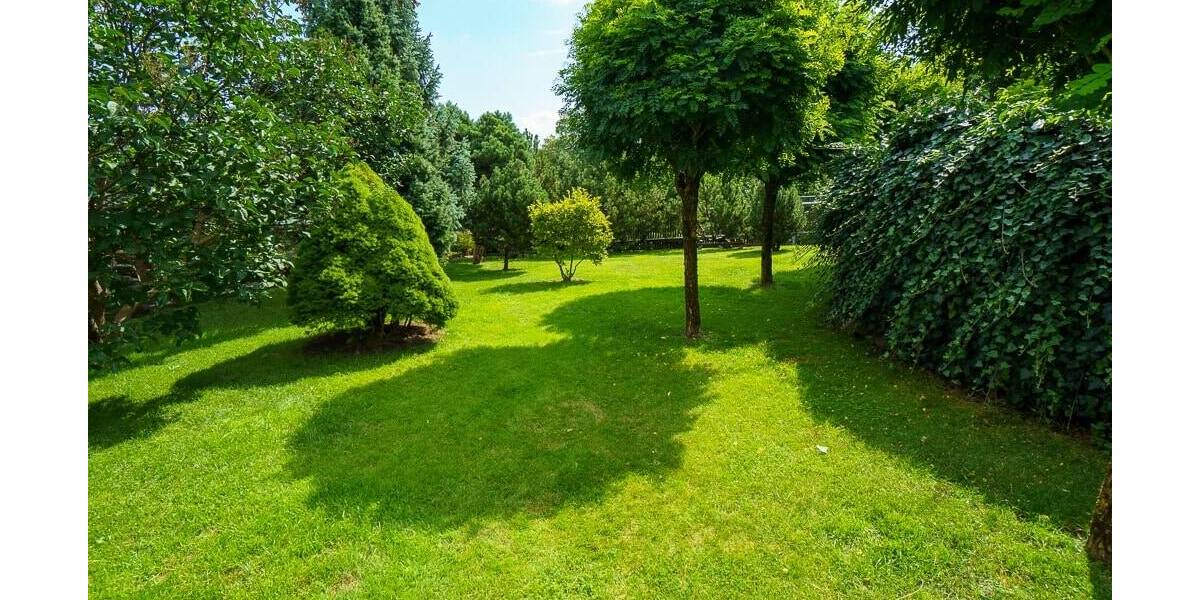 Mehrfamilienhaus, Wohnhaus Falkenstein - 2 Zimmer, 593 m&sup2;, 1.350.000&euro; | Angebot:26570361