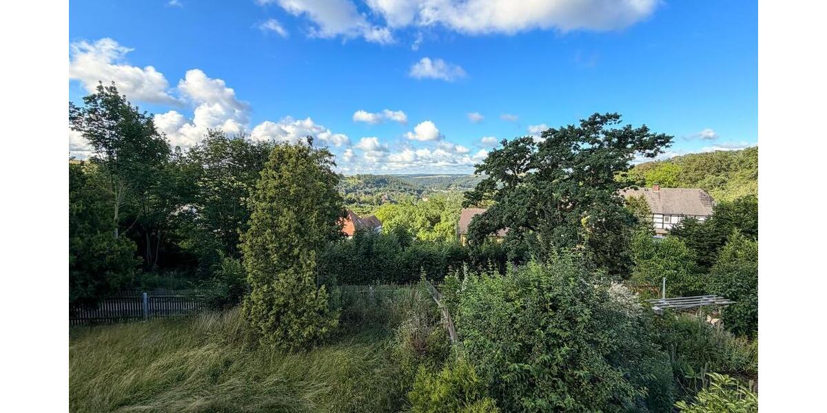 Charmante Doppelhaushälfte mit moderner Wärmepumpe, Wintergarten & gepflegtem Grundstück in BergaElster - Doppelhaushälfte Berga | Angebot:27056718