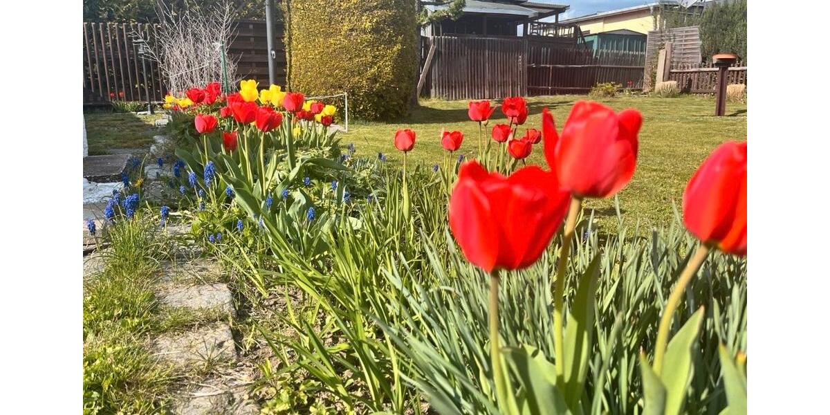 Grundstück Plauen Alt Chrieschwitz - 5.300&euro; | Angebot:25756155