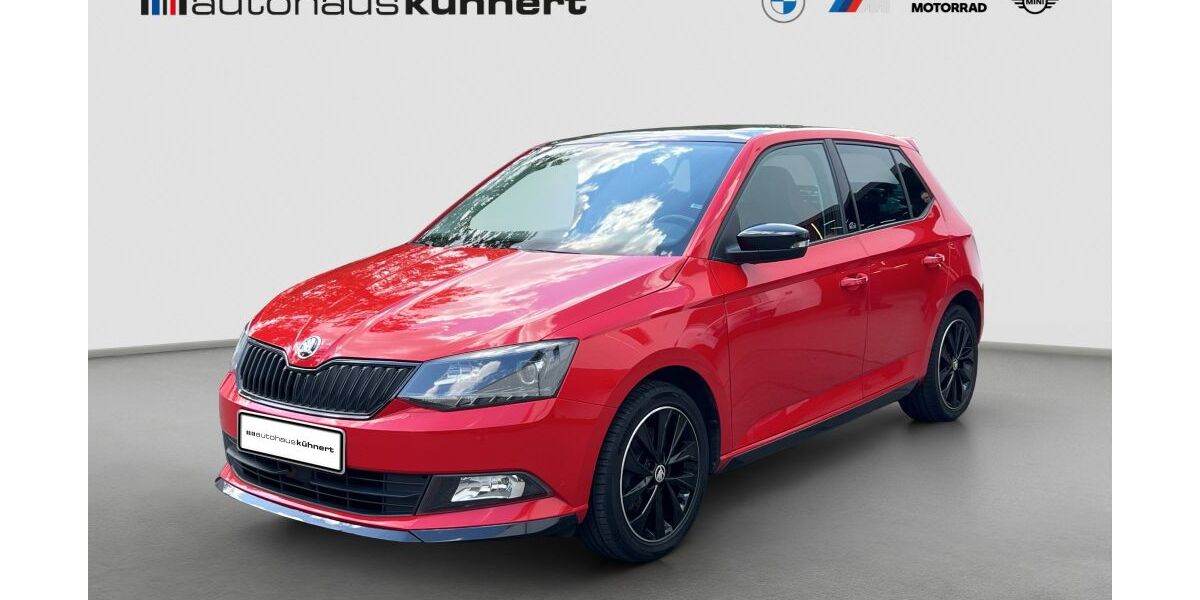 Skoda Fabia 133.334 km 8.950 &euro; Plauen 08525