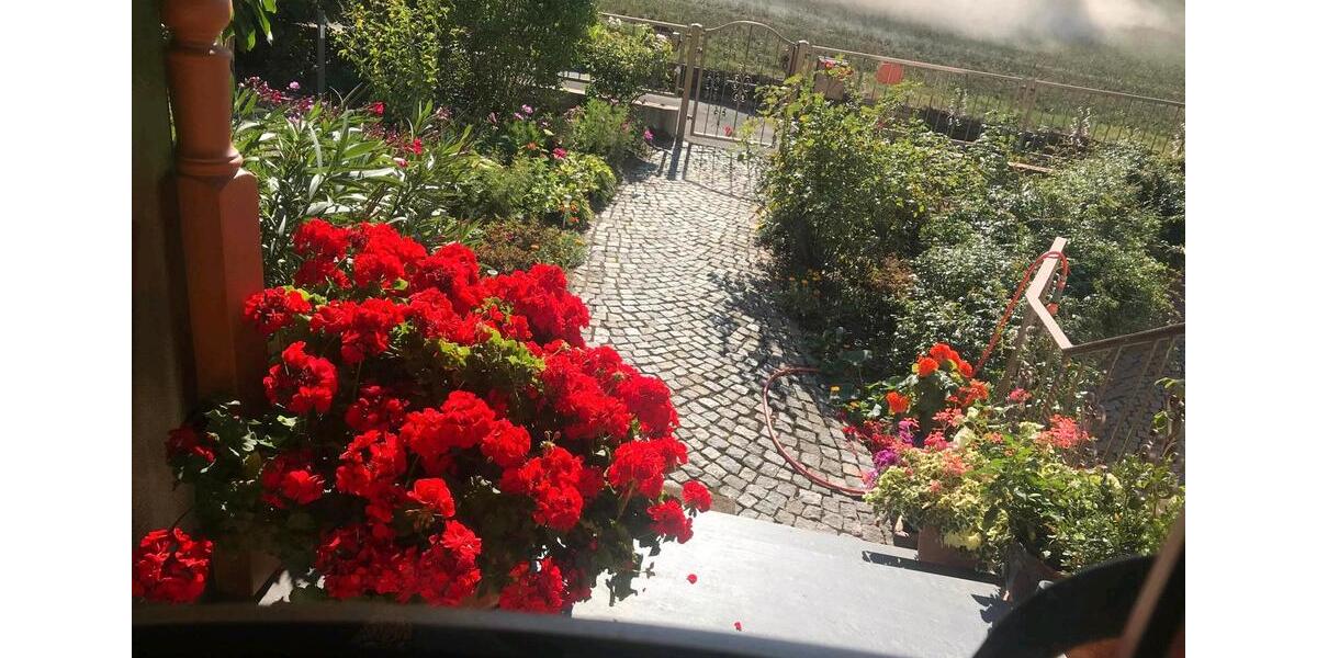 Einfamilienhaus Schleiz - 6 Zimmer, 198 m&sup2;, 633.000&euro; | Angebot:26981969