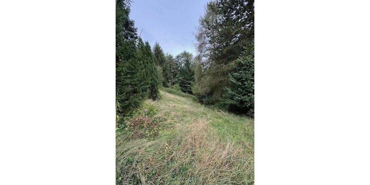 Einfamilienhaus Bösenbrunn - 5 Zimmer, 139 m&sup2;, 180.000&euro; | Angebot:25662030