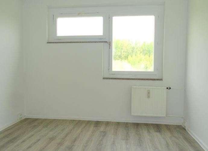 Etagenwohnung Reichenbach im Vogtland - 3 Zimmer, 69 m&sup2;, 305&euro; | Angebot:25918210