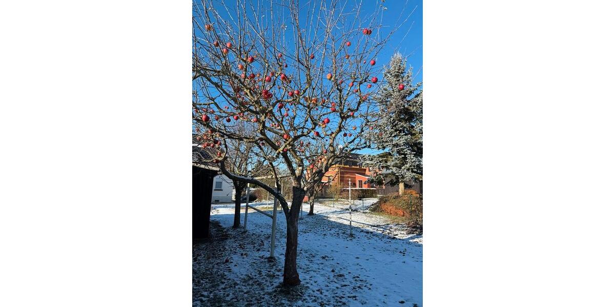 Doppelhaushälfte Markneukirchen - 6 Zimmer, 95 m&sup2;, 125.000&euro; | Angebot:25635484