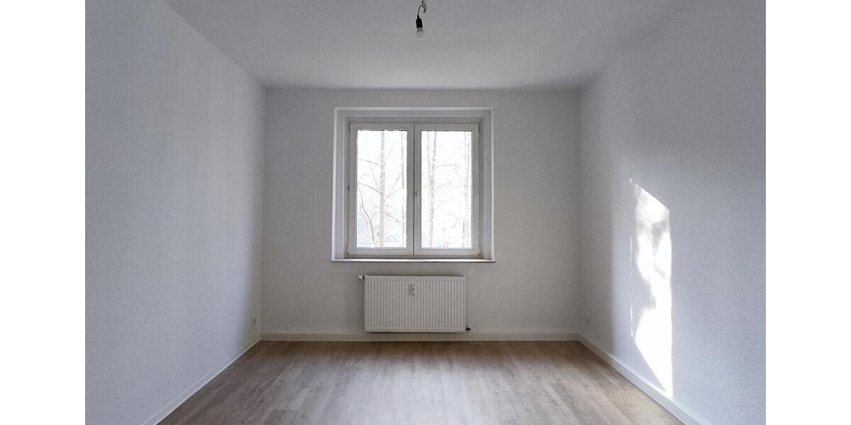 Etagenwohnung Plauen - 2 Zimmer, 61 m&sup2;, 370&euro; | Angebot:24644025