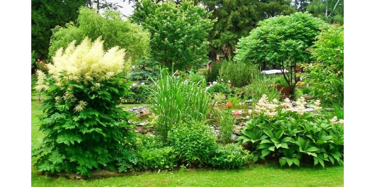 Grundstück Plauen Haselbrunn - 74.500&euro; | Angebot:26741950
