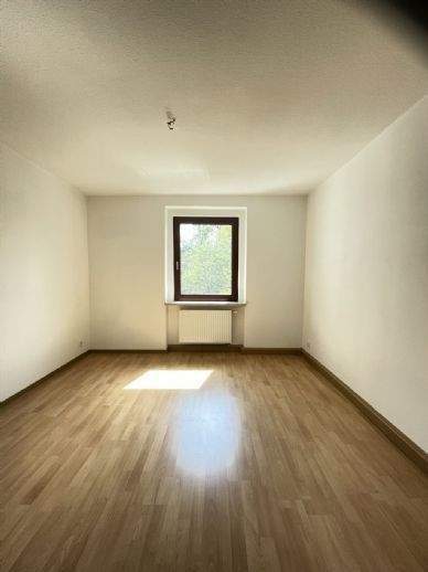 Etagenwohnung Plauen Haselbrunn - 4 Zimmer, 100 m&sup2;, 450&euro; | Angebot:25674924