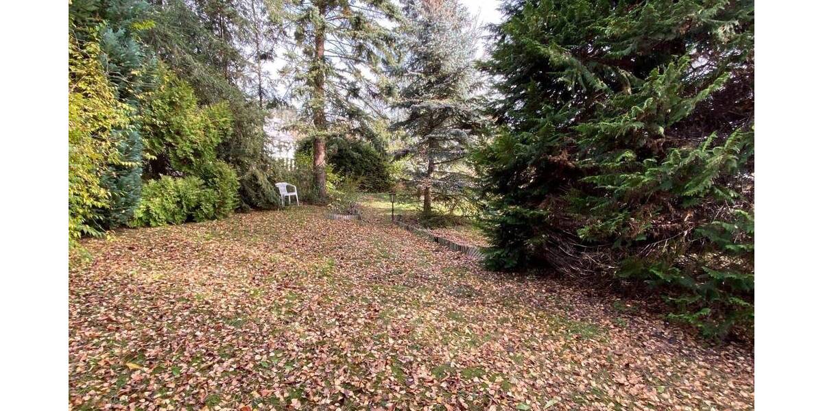 Grundstück Mechelgrün Mechelgrün - 49.990&euro; | Angebot:25661995