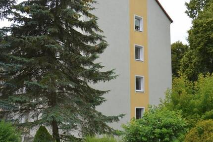 Wohnung Reichenbach im Vogtland - 2 Zimmer, 47 m&sup2;, 43.500&euro; | Angebot:27264895