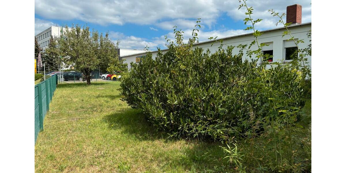 Gewerbeobjekt Zeulenroda-Triebes Triebes - 500&euro; | Angebot:17044744