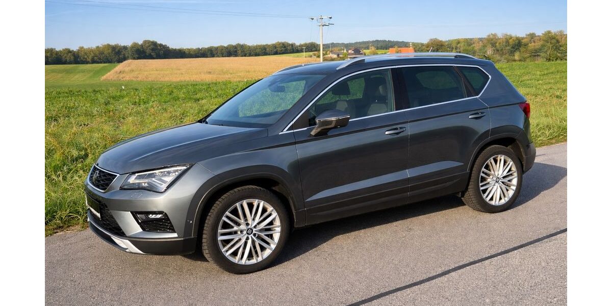 Seat Ateca 175.956 km 15.000 &euro; Crinitzberg 08147