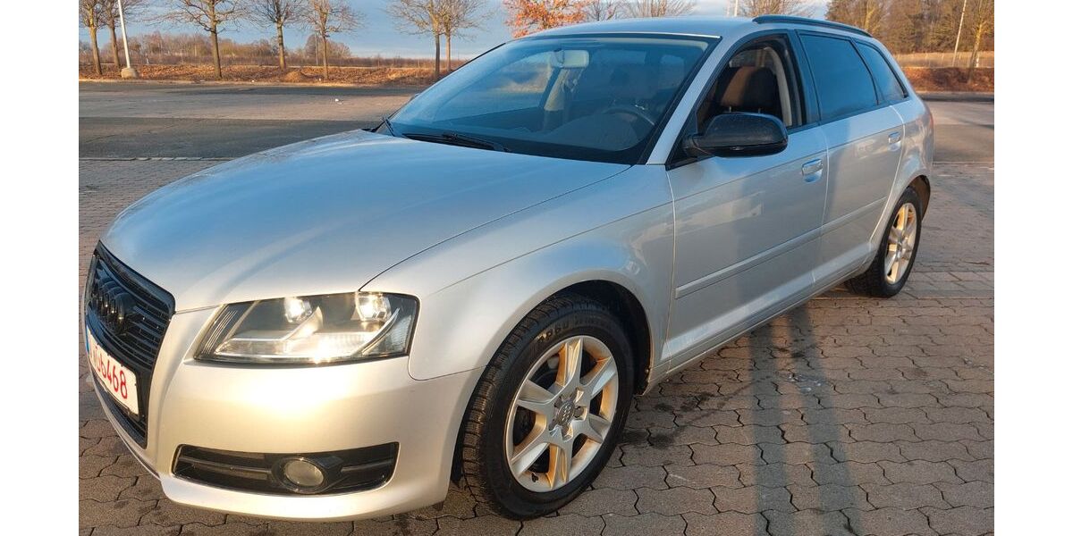 Audi A3 201.060 km 3.100 &euro; Plauen 08523