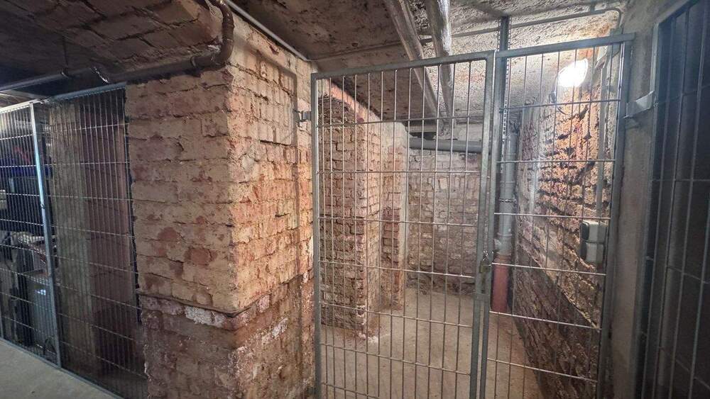 Etagenwohnung Plauen Stadtmitte - 2 Zimmer, 71 m&sup2;, 55.000&euro; | Angebot:25686174