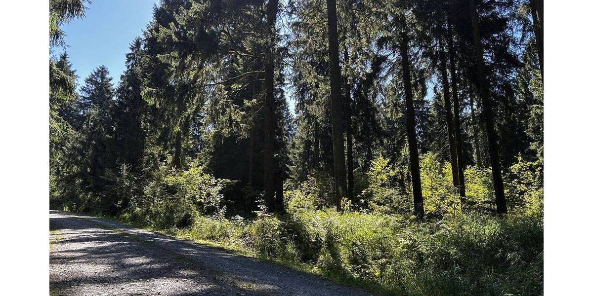 Mehrfamilienhaus, Wohnhaus Muldenhammer Schneckenstein - 4 Zimmer, 65 m&sup2;, 70.000&euro; | Angebot:25707498